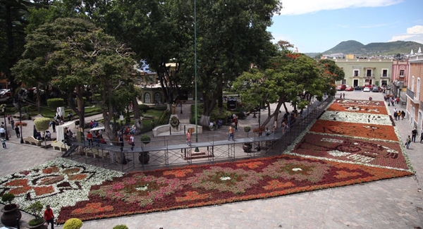 Inauguran el segundo Tapete Monumental de Flores de verano, en Atlixco