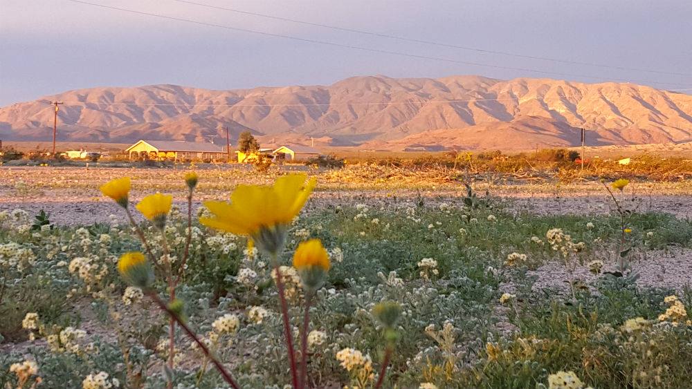 Wonder Valley, CA Wonder Valley Community Meeting April 8, 2017