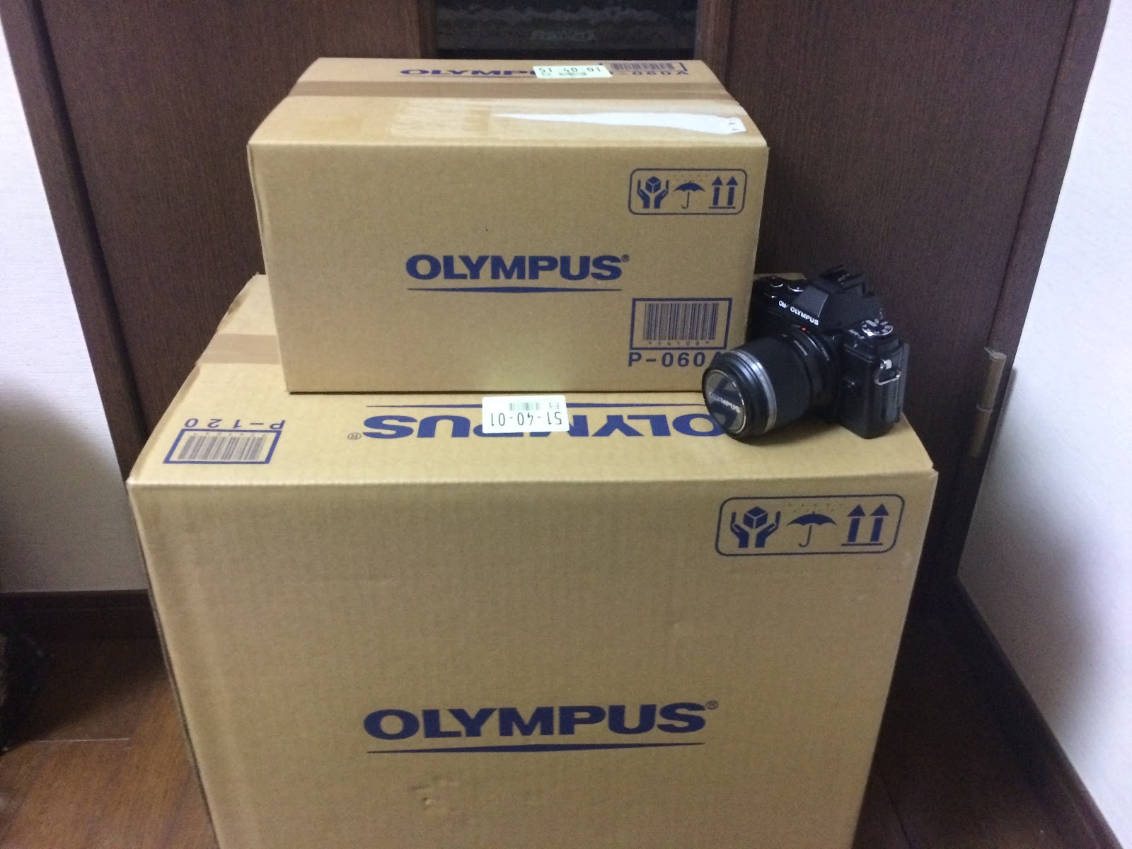 失敗写真日記: OLYMPUS ZUIKO DIGITAL ED300mm f2.8 レビュー