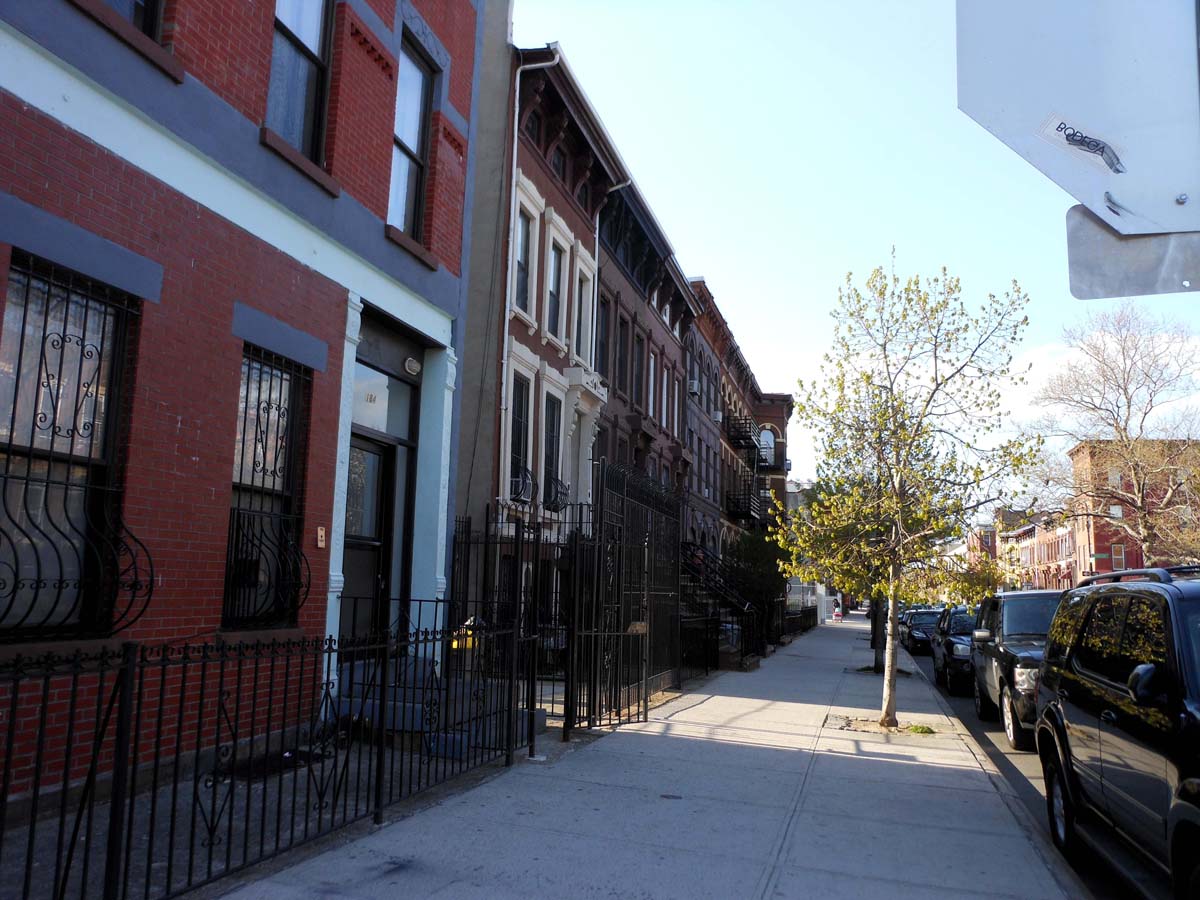 Quotidian New York I almost to post this! After teaching Spike