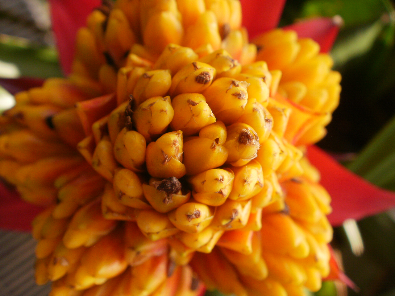 liberty-equality-and-geology-about