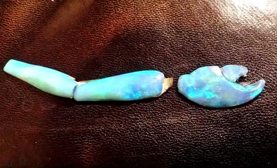 How Do Opalised Fossils Form