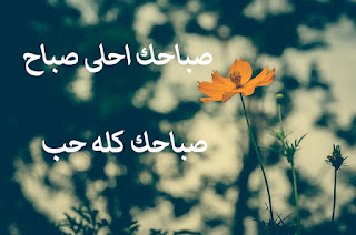 صباح الخير للحبيب بالصور