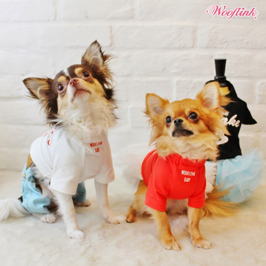 WOOFLINK Hip designer dog clothes PANCAKE ♥