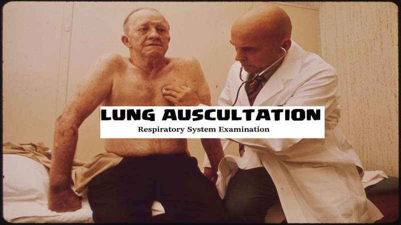 Auscultation of Lungs under Respiratory examination LUNG-CHEST AUSCULTATION- CLINICAL GUIDE
