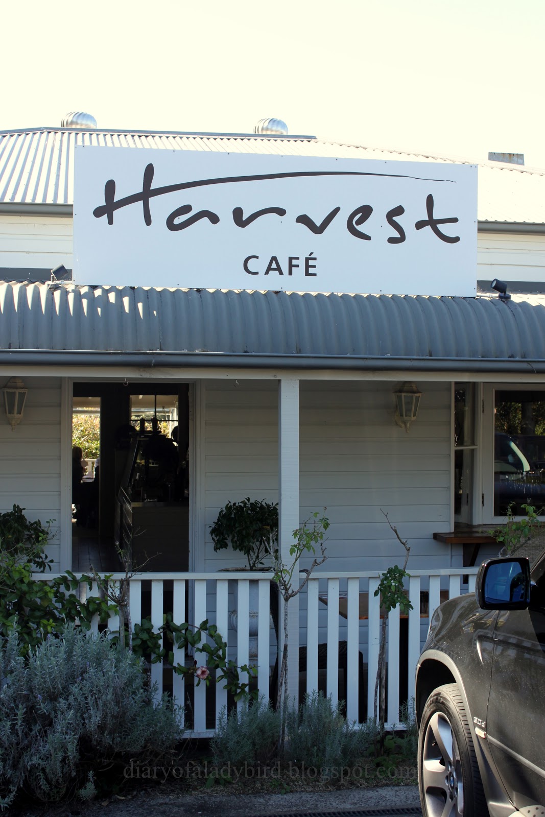 Diary of a Ladybird Harvest Café & The Byron at Byron Restaurant