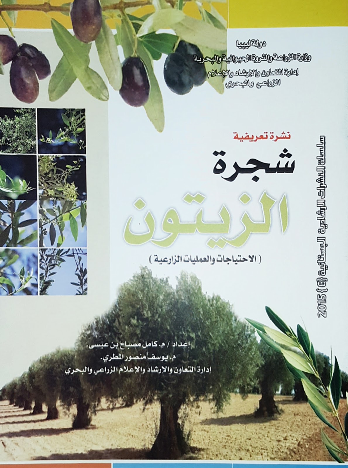 كتاب نشرة تعريفية شجرة الزيتون الاحتياجات والعمليات الزراعية  1