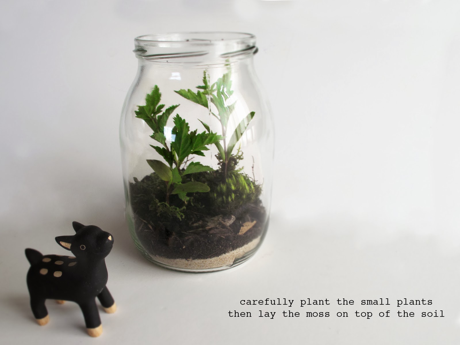 The Academy of Gentle Arts terrarium