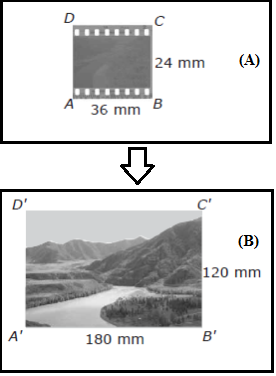 Materi Dan Contoh Soal Foto Berskala