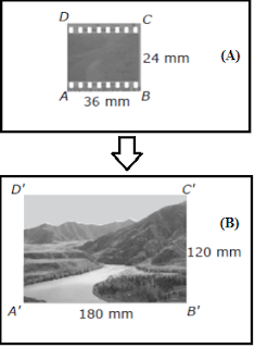 Materi dan Contoh Soal Foto Berskala