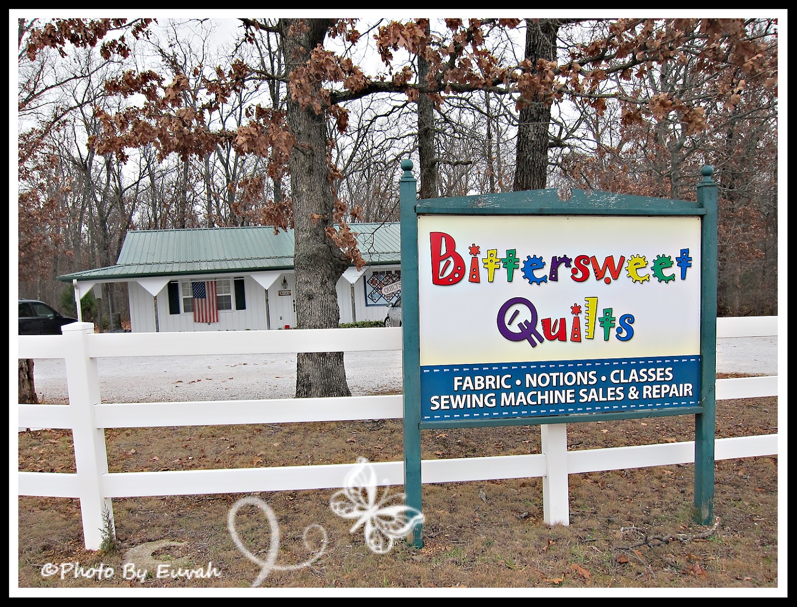 Justa in Bittersweet Quilts near Joplin Missouri Justa in Bittersweet Quilts near Joplin Missouri