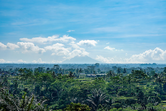 Région d'Ubud - Bali