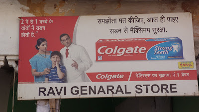 Indiaren ametsa (El sueño de India) - Blogs de India - Día 2. De Delhi a Nawalgarh. (13)