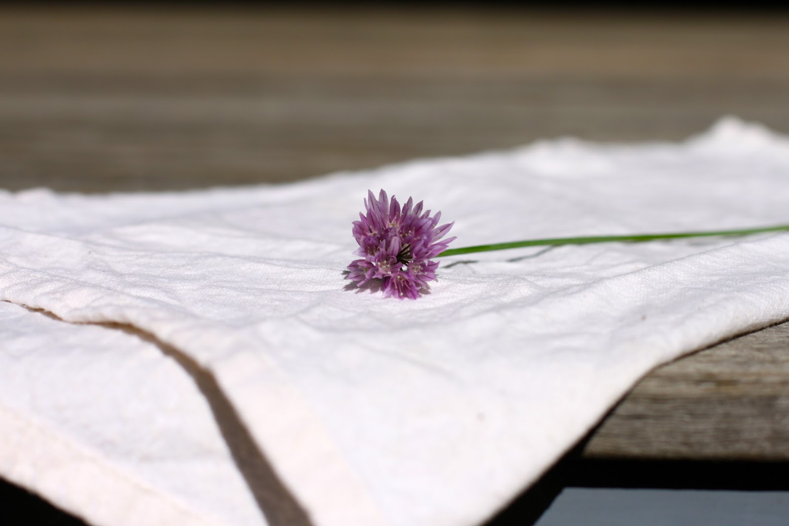 ..typically red: Chive