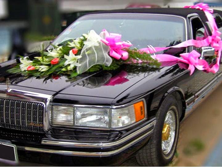 Dulha Dulhan ( Plan Marriage in Pakistan ) Wedding Car Decorations