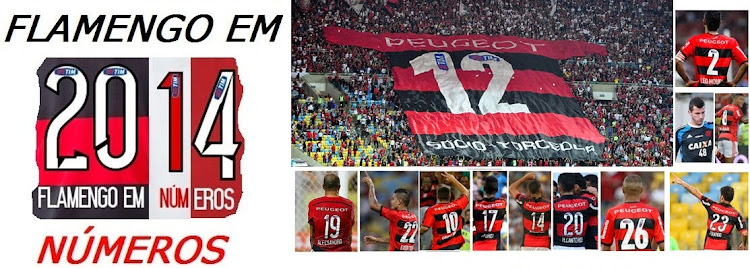 Flamengo em Números