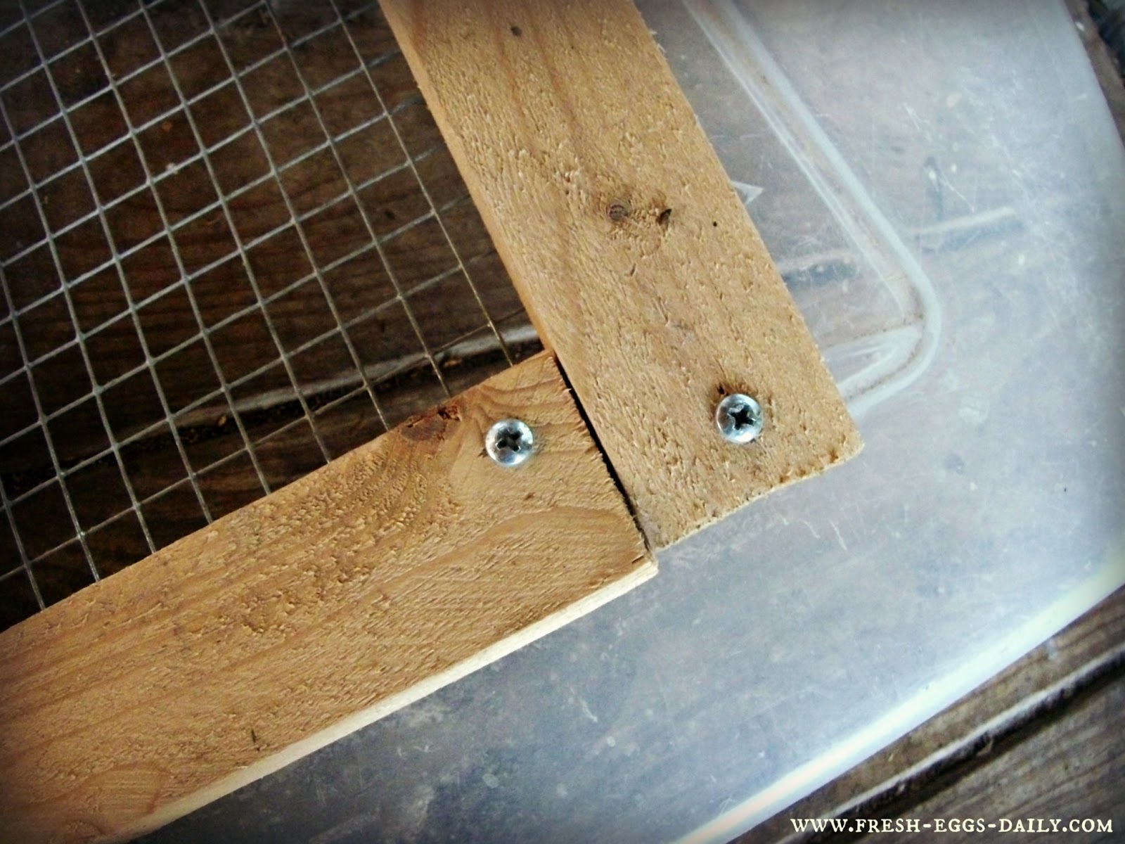 Make a Plastic Tote Brooder Box for Chicks Fresh Eggs Daily® with Lisa Steele