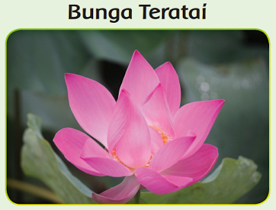 Bagaimana Bunga Teratai Beradaptasi Dengan Lingkungannya Halaman 6 Belajar Kurikulum 2013