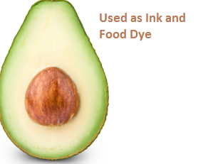 Uses and Benefits of Avocado Seeds or Pits