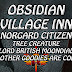 Obsidian Village Inn Is Coming, Norgard Citizens, Tree Creature and Lord British Moondial
