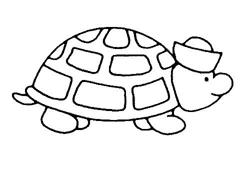 Tortugas para colorear - Dibujos para Colorear y Pintar Gratis