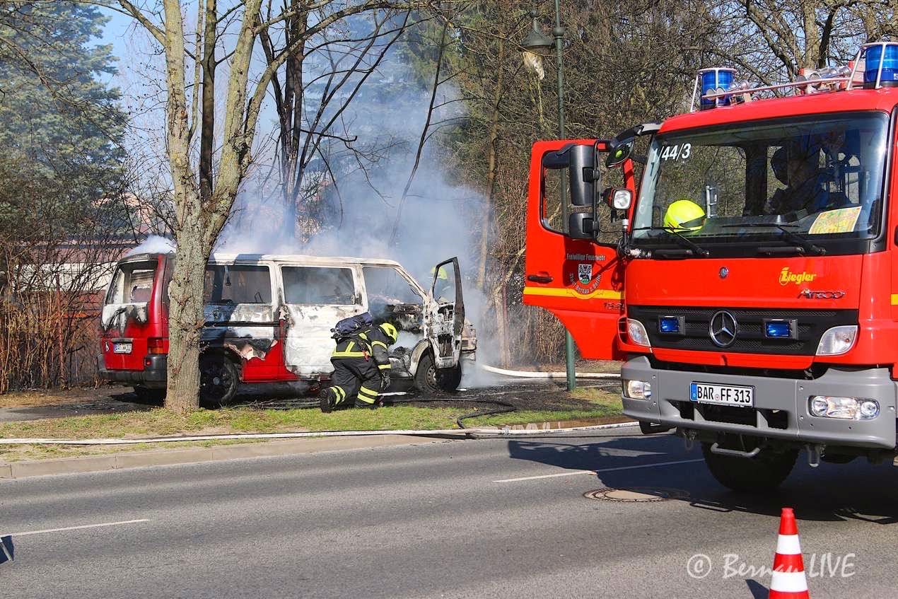 Bernau LIVE - Dein Stadtmagazin für Bernau bei Berlin