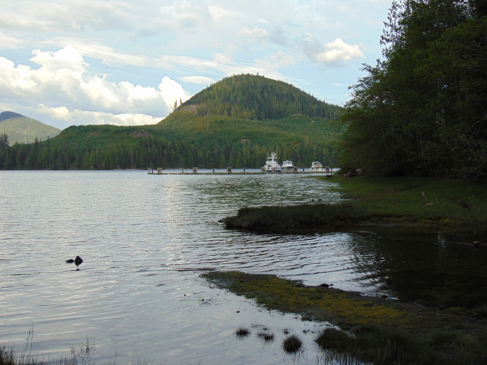 Mike's Boat Trips 2018