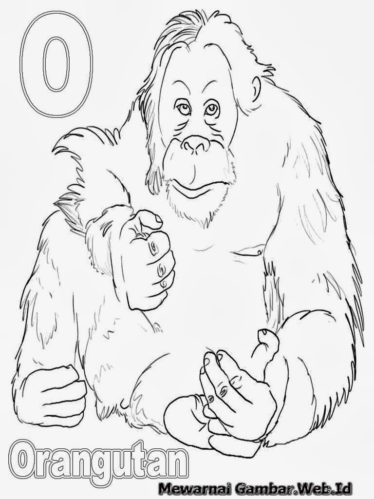 Belajar Menulis Huruf Abjad O Belajar Mewarnai Huruf Abjad O Orangutan Belajar Menulis Huruf Abjad O Belajar Mewarnai Huruf Abjad O Orangutan