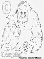 Belajar Mewarnai Huruf Abjad O Orangutan