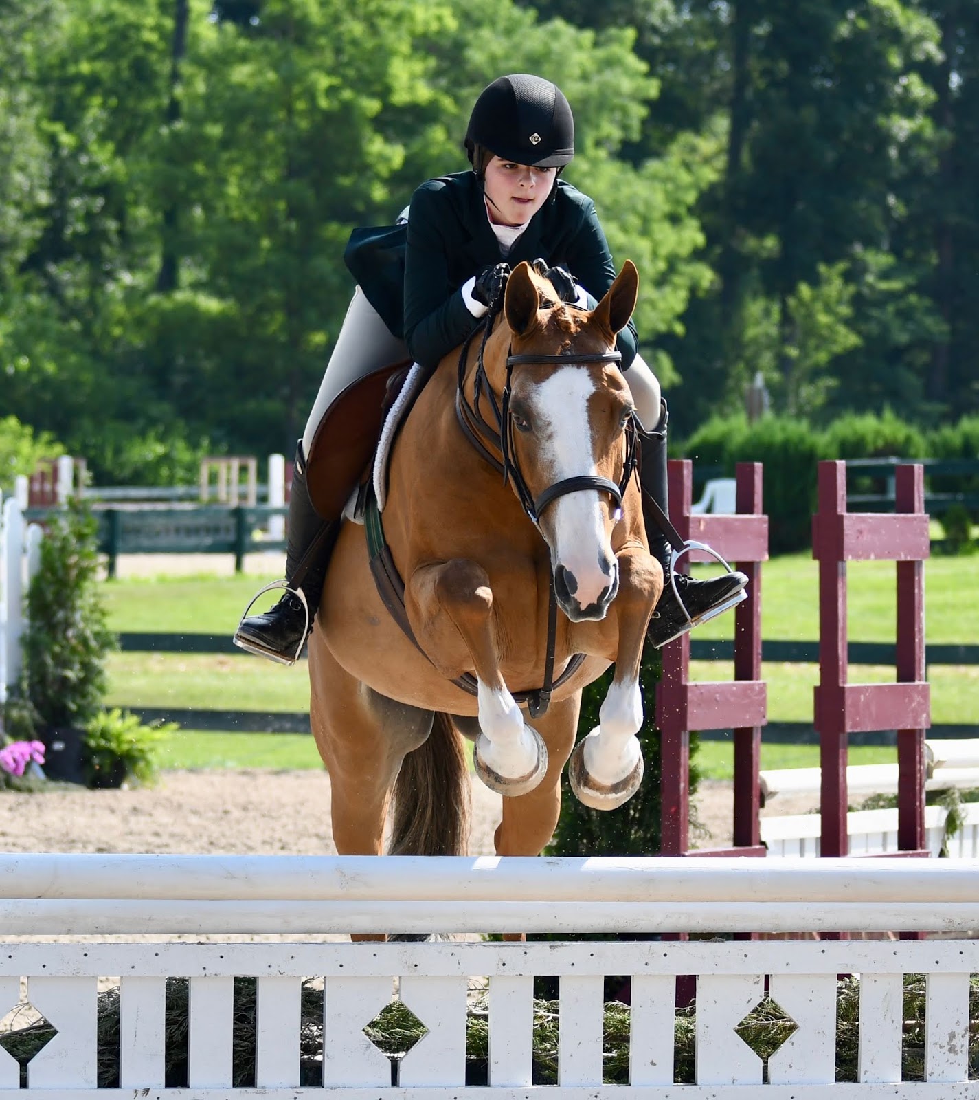 Rolling Acres Farm Hunter/Jumper Horse Boarding, Sales and Training in