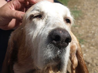 Happy End Uber Den Regenbogen Gegangen