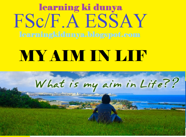 Essay aim in life army image