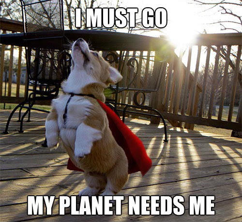 I Must Go My Planet Needs Me (Dog)
