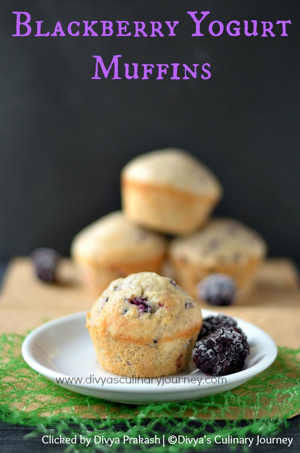 blackberry yogurt muffins, baking recipes with blackberry