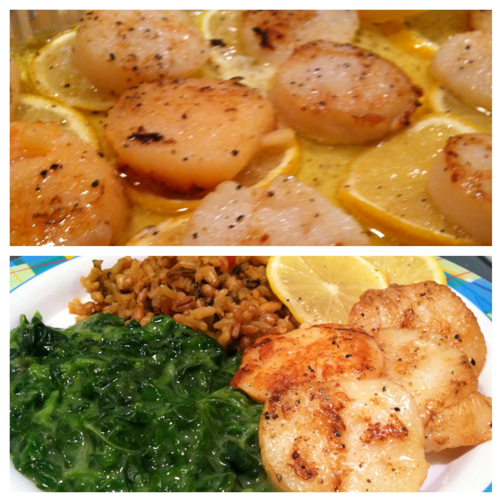 Kimterests Shrimp, Scallops and Sleeping Babies