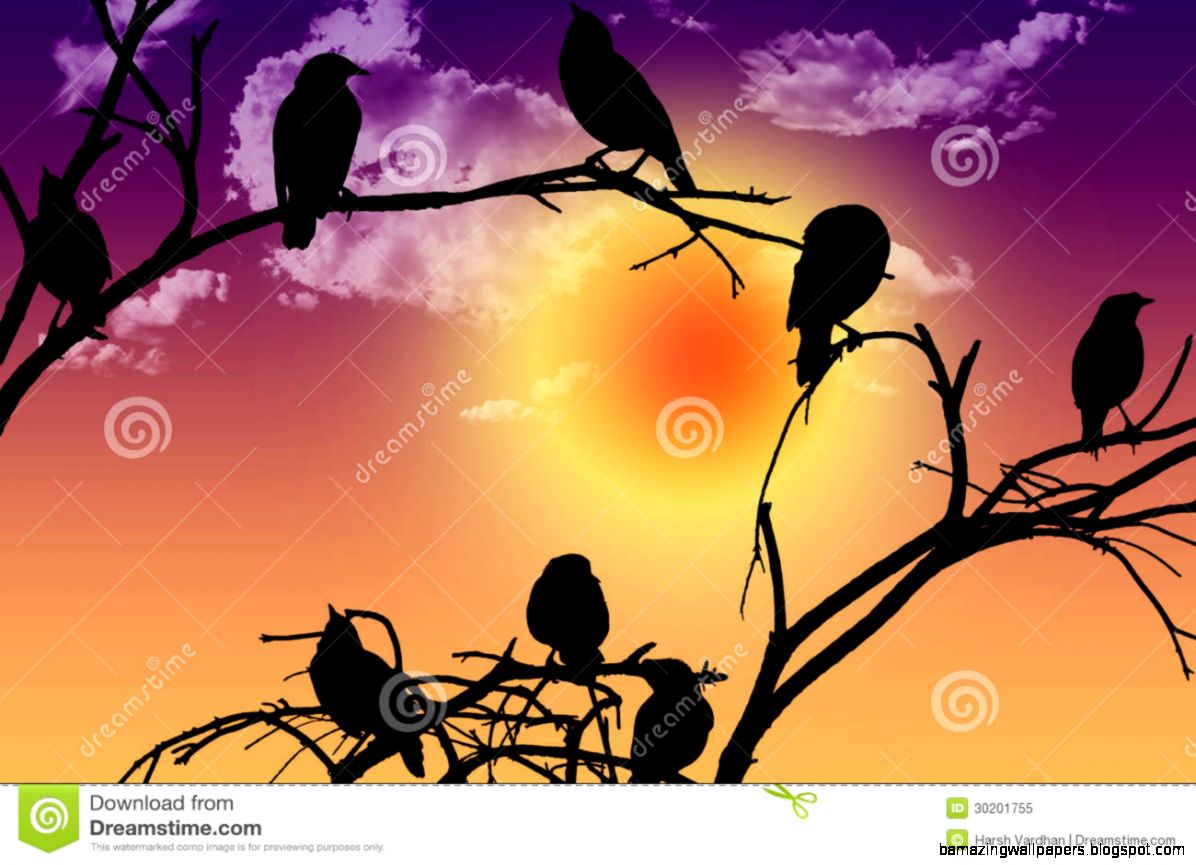 Birds Silhouette Sitting On A Branch At Sunset Royalty Free Stock