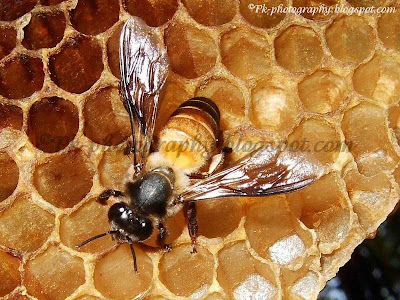 Nature, Cultural, and Travel Photography Blog: 10/1/08 - 11/1/08