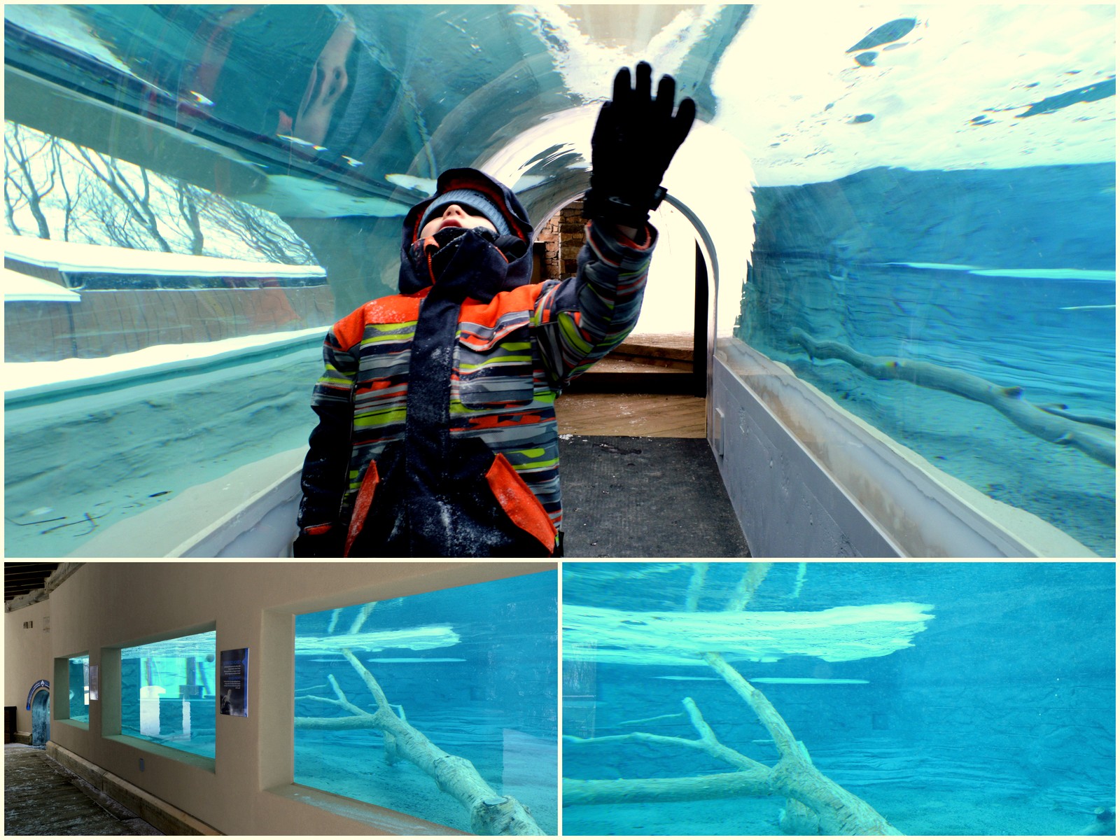 Zoo le zoo de Montréal