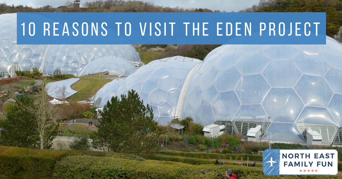 10 Reasons to Visit the Eden Project in Winter North East Family Fun