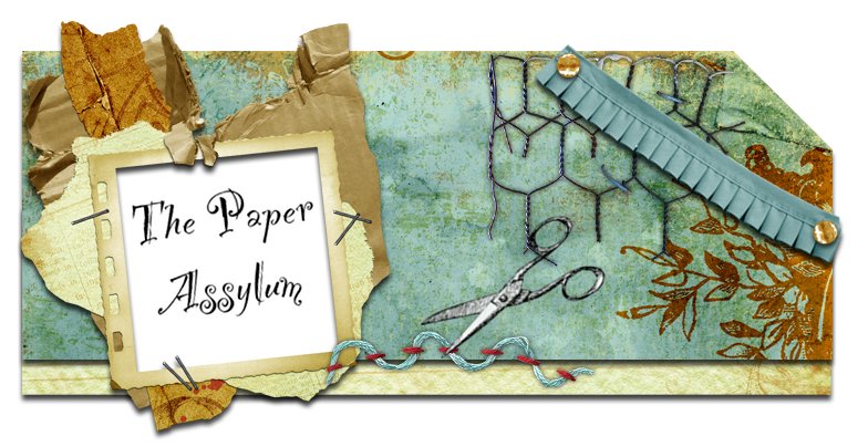 the paper assylum