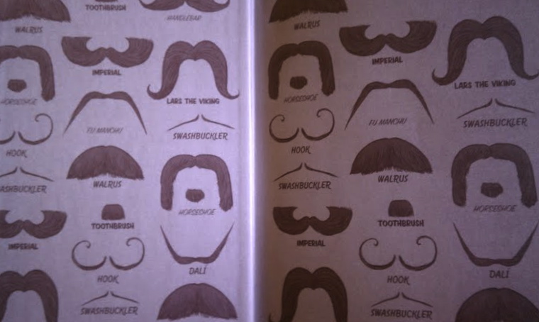 The (Mis)Adventures of Michele Teachings, Readings, and Writing REVIEW Fake Mustache (Fun