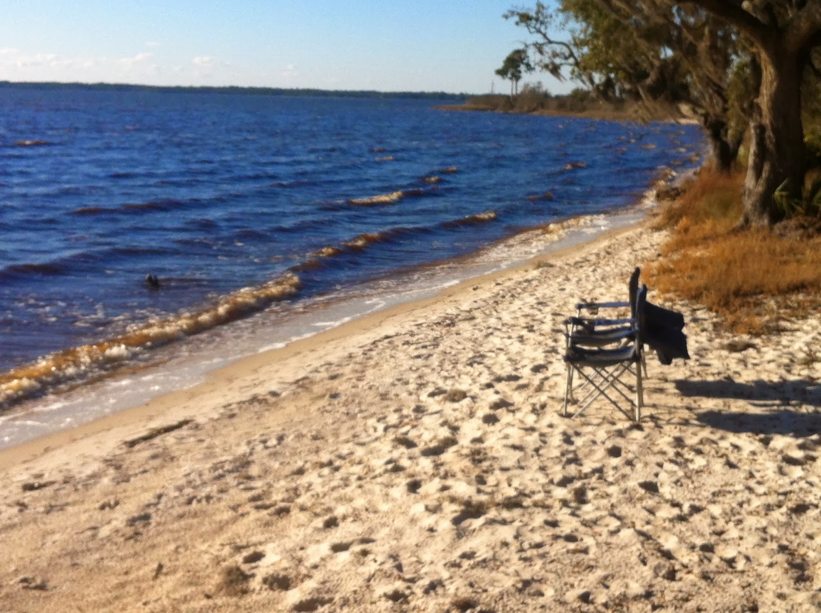 Our Fantastic Falcon Voyage Grassy Point in Pensacola, FL
