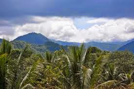 Driving in Belize — Is it safe? 24 Remaxvipbelize: Belize Mountain nature