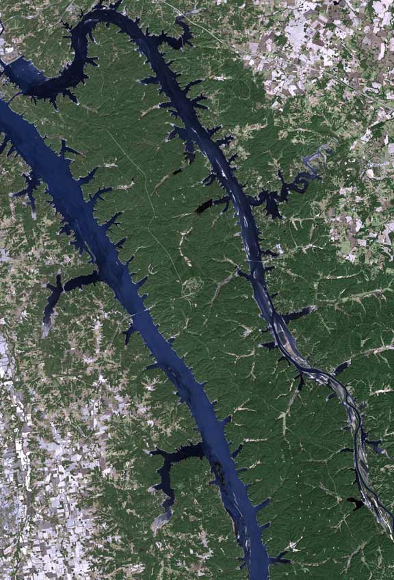 Free Rosey & Free Willy RV Travel LBL Land Between the Lakes