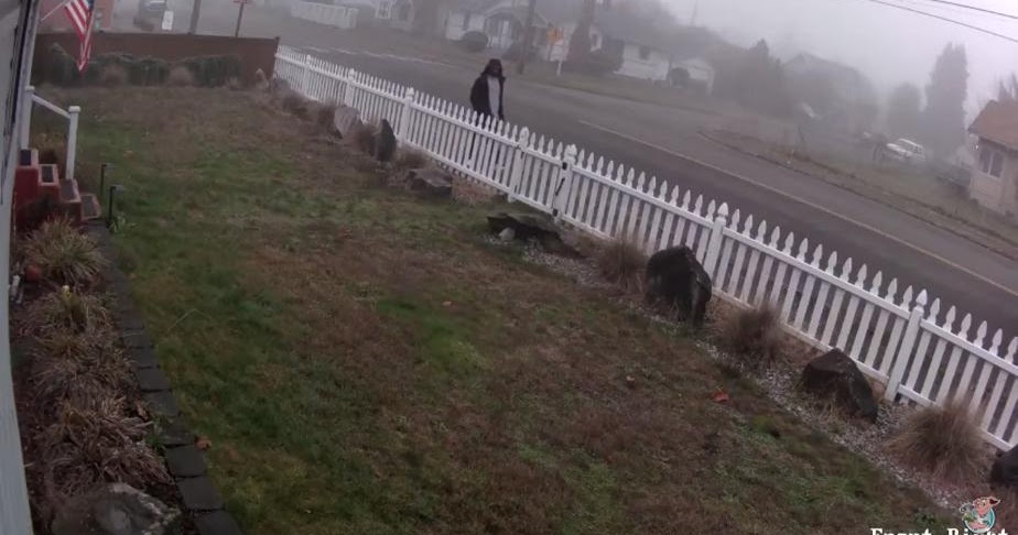 Sman Music Noticia : Ingresó a robar una caja en el jardín y pasó algo