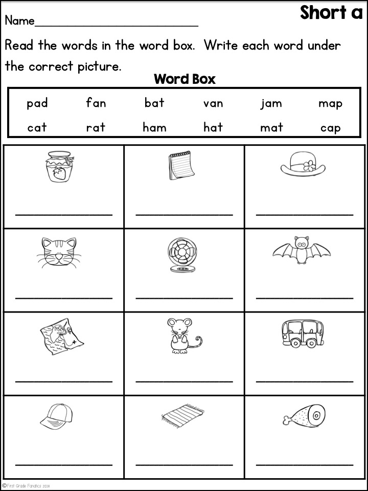 First Grade Fanatics