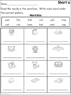 First Grade Fanatics