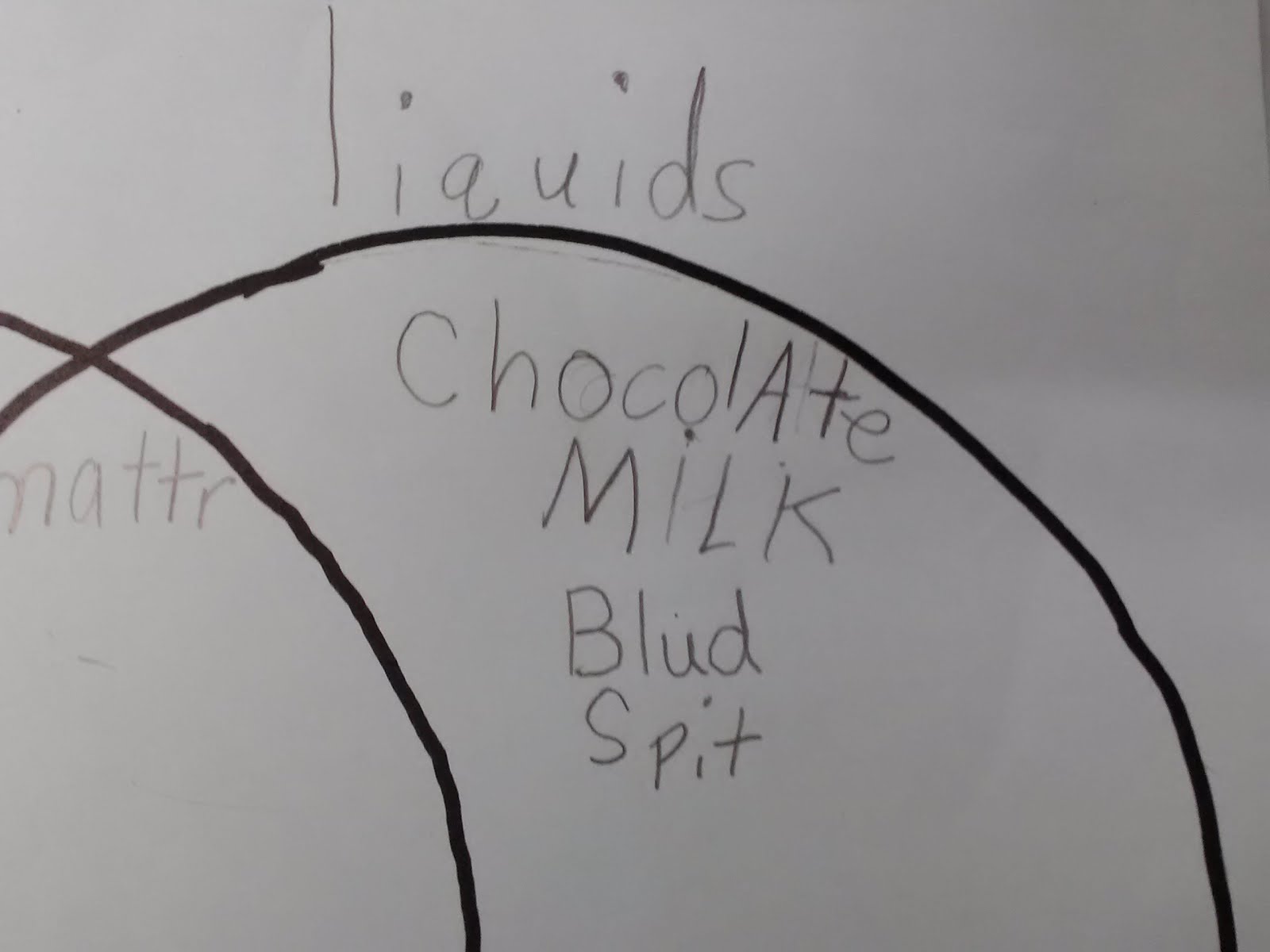 Teaching Little Miracles Solids vs. Liquids What *Did* I Teach Them?