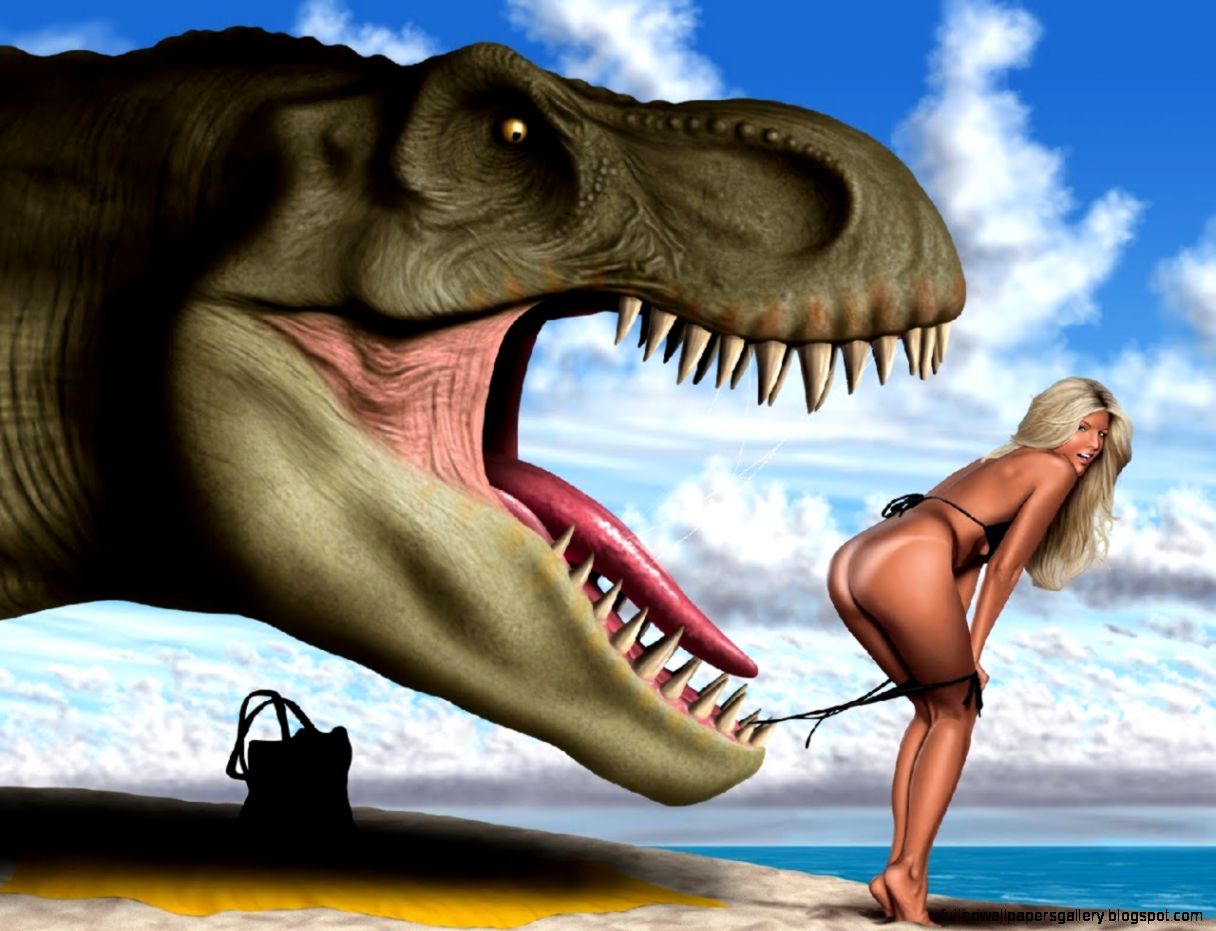 Amazing Funny Photos   All Wallpapers New