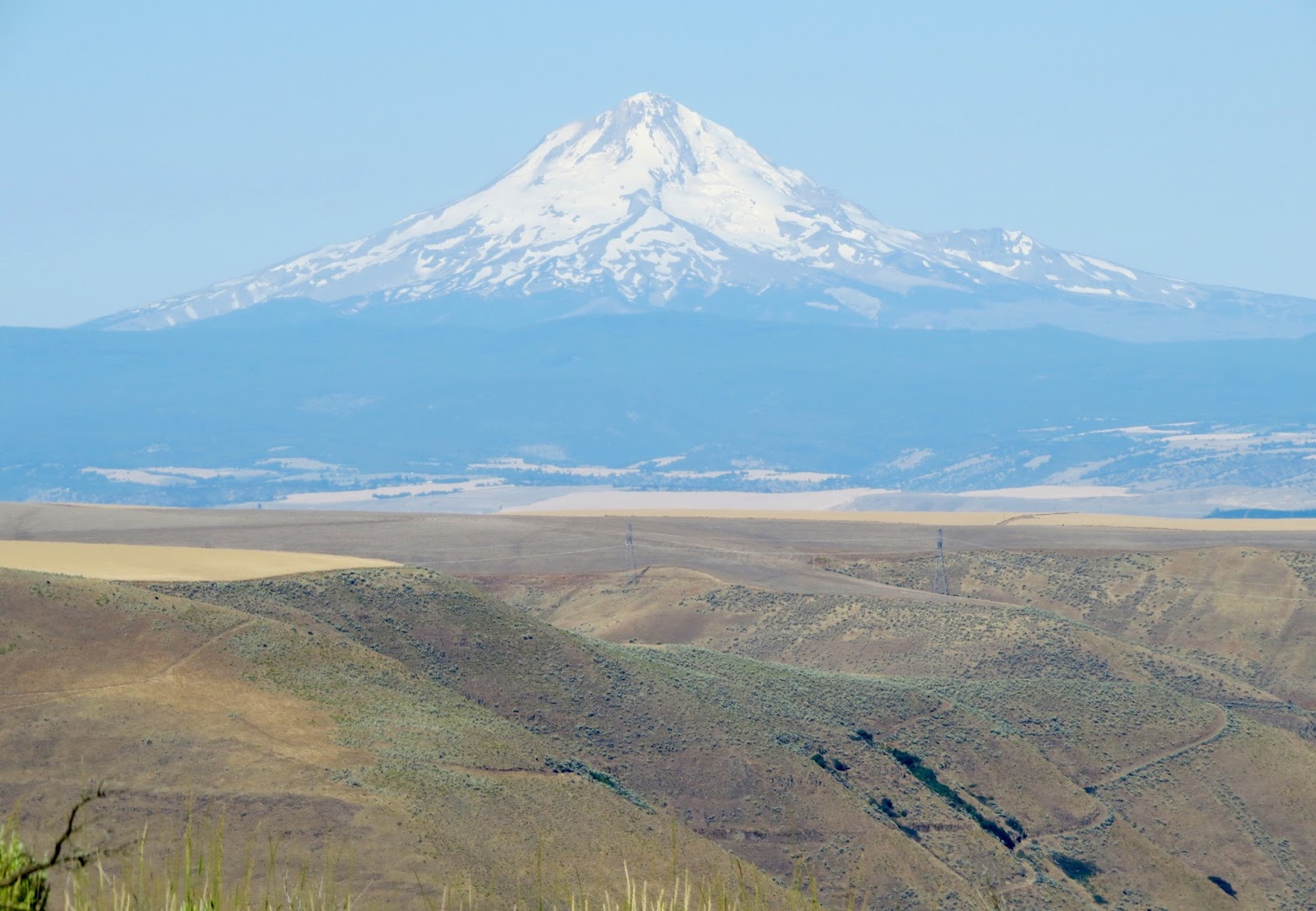 Where's Liz? 2016 Moro, Sherman County, Oregon